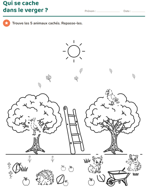 Aperçu de la fiche Dessins à repasser pour CP (cours préparatoire)