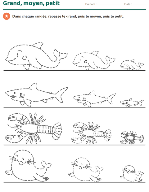 Aperçu de la fiche Dessins à repasser pour École maternelle (grande section, 5-7 ans)