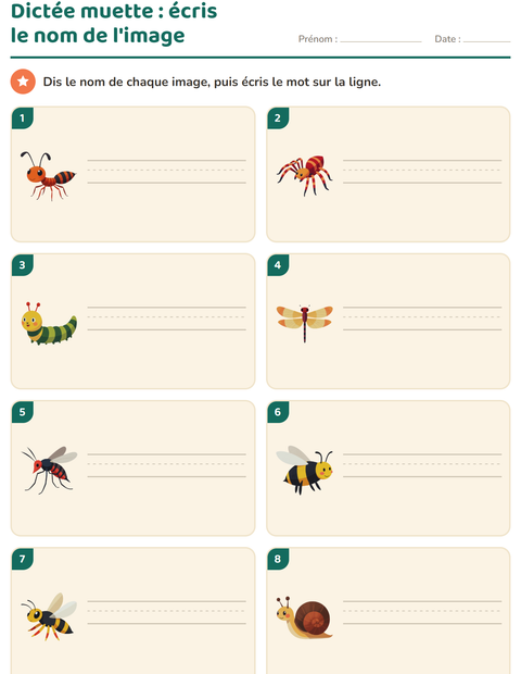 Aperçu de la fiche Dictée muette avec Insectes et bestioles pour CP (cours préparatoire)
