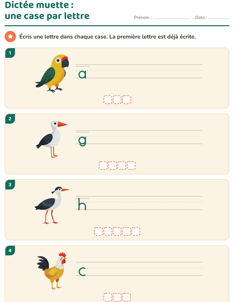 Aperçu de la fiche Dictée muette avec Oiseaux 2 pour CP (cours préparatoire)