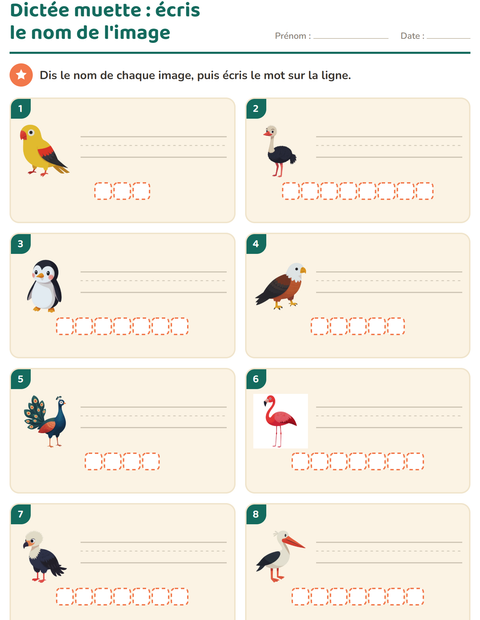 Aperçu de la fiche Dictée muette avec Oiseaux pour CP (cours préparatoire)