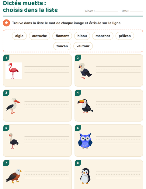 Aperçu de la fiche Dictée muette avec Oiseaux pour CP (cours préparatoire)