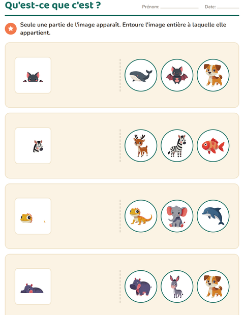 Aperçu de la fiche Discrimination visuelle avec Animaux pour École maternelle (grande section, 5-7 ans)