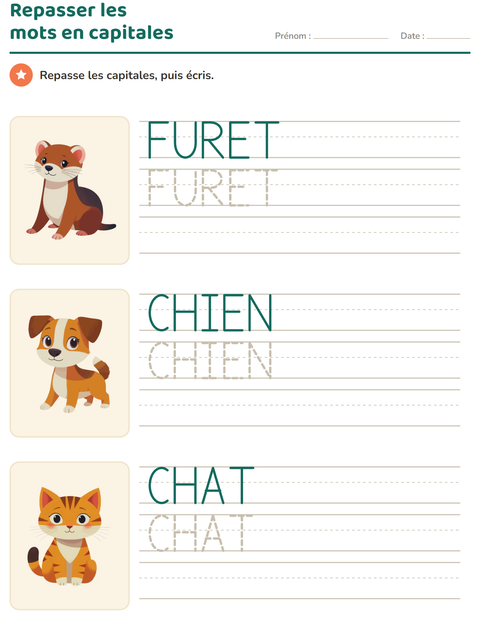 Aperçu de la fiche Écriture des mots avec Animaux de compagnie pour École maternelle (grande section, 5-7 ans)