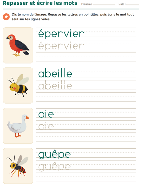 Aperçu de la fiche Écriture des mots avec Choses qui volent pour École maternelle (grande section, 5-7 ans)