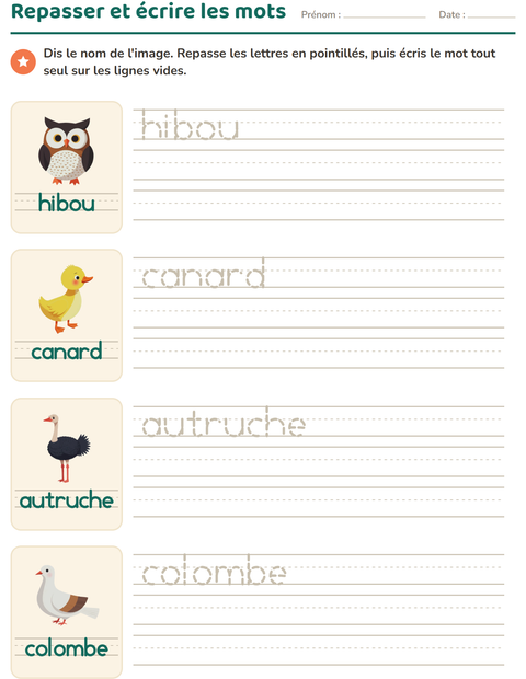 Aperçu de la fiche Écriture des mots avec Oiseaux 2 pour École maternelle (grande section, 5-7 ans)