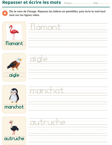 Aperçu de la fiche Écriture des mots avec Oiseaux pour École maternelle (grande section, 5-7 ans)
