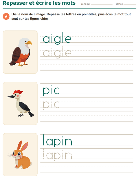 Aperçu de la fiche Écriture des mots avec Créatures de la forêt pour École maternelle (grande section, 5-7 ans)