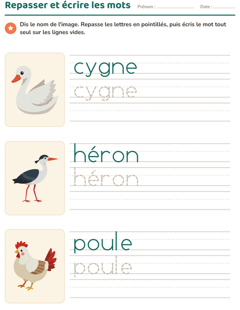 Aperçu de la fiche Écriture des mots avec Oiseaux 2 pour École maternelle (grande section, 5-7 ans)
