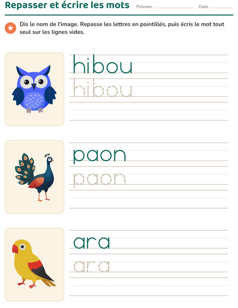 Aperçu de la fiche Écriture des mots avec Oiseaux pour École maternelle (grande section, 5-7 ans)