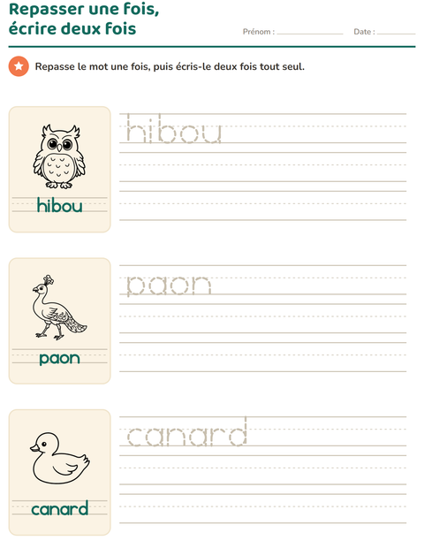 Aperçu de la fiche Écriture des mots avec Oiseaux N&B pour École maternelle (grande section, 5-7 ans)