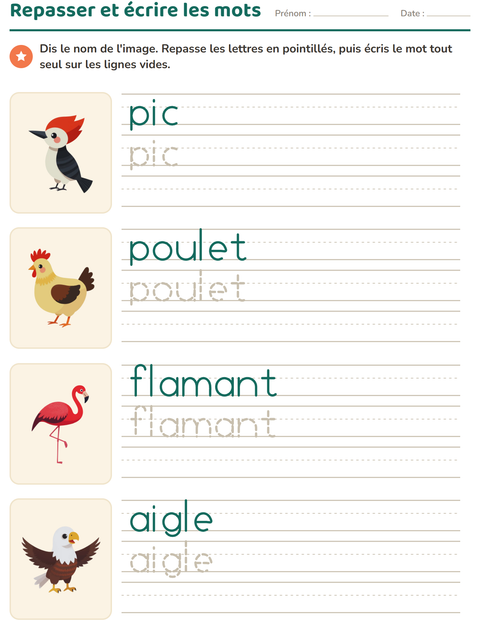 Aperçu de la fiche Écriture des mots avec Oiseaux 2 pour École maternelle (grande section, 5-7 ans)