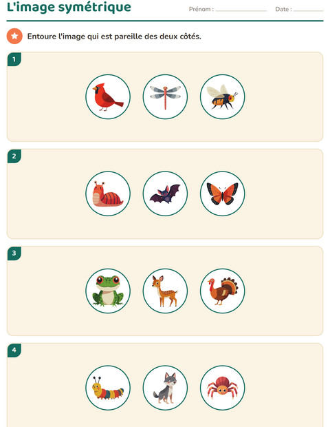Aperçu de la fiche Géométrie avec Créatures de la forêt pour CE1 (cours élémentaire 1)