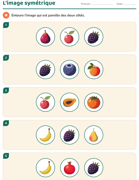 Aperçu de la fiche Géométrie avec Fruits pour CE1 (cours élémentaire 1)