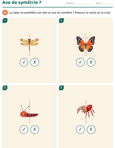 Aperçu de la fiche Géométrie avec Insectes et bestioles pour CE1 (cours élémentaire 1)