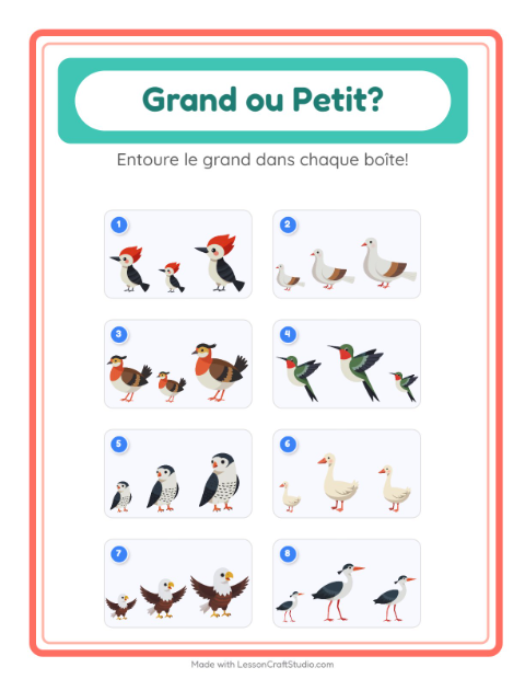 Aperçu de la fiche Grand Ou Petit avec Oiseaux 2 pour École maternelle (petite/moyenne section, 3-5 ans)