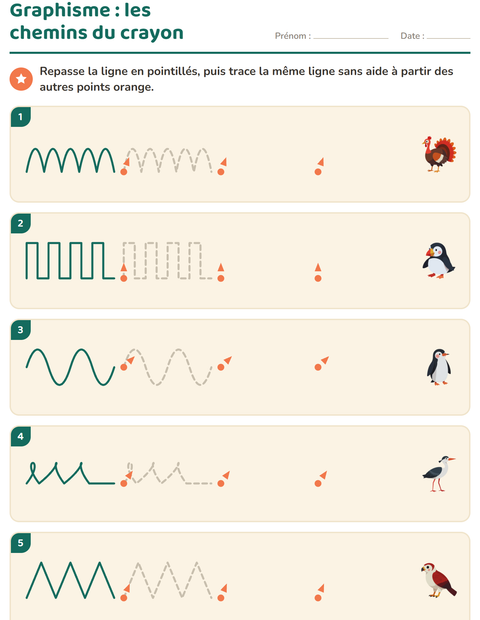 Aperçu de la fiche Graphisme avec Oiseaux 2 pour École maternelle (grande section, 5-7 ans)