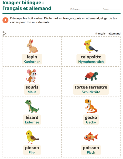 Aperçu de la fiche Imagier avec Animaux de compagnie pour École maternelle (grande section, 5-7 ans)