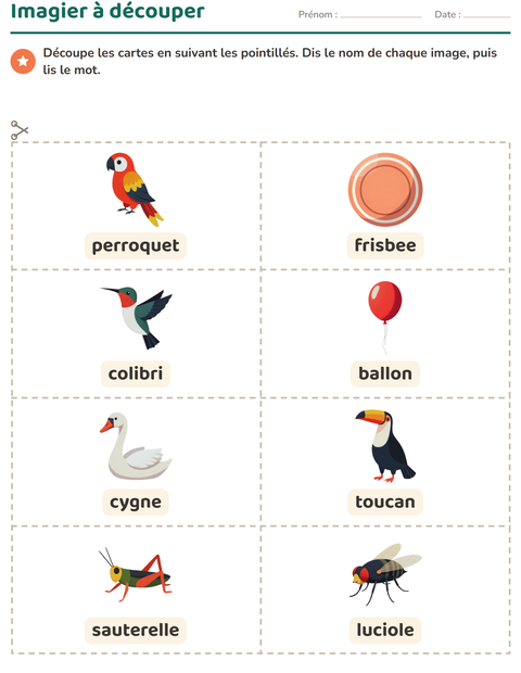 Aperçu de la fiche Imagier avec Choses qui volent pour École maternelle (grande section, 5-7 ans)