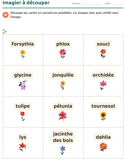 Aperçu de la fiche Imagier avec Fleurs pour École maternelle (grande section, 5-7 ans)