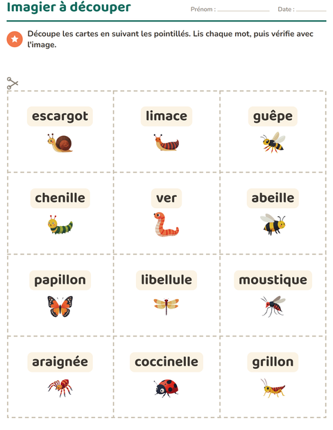 Aperçu de la fiche Imagier avec Insectes et bestioles pour École maternelle (grande section, 5-7 ans)