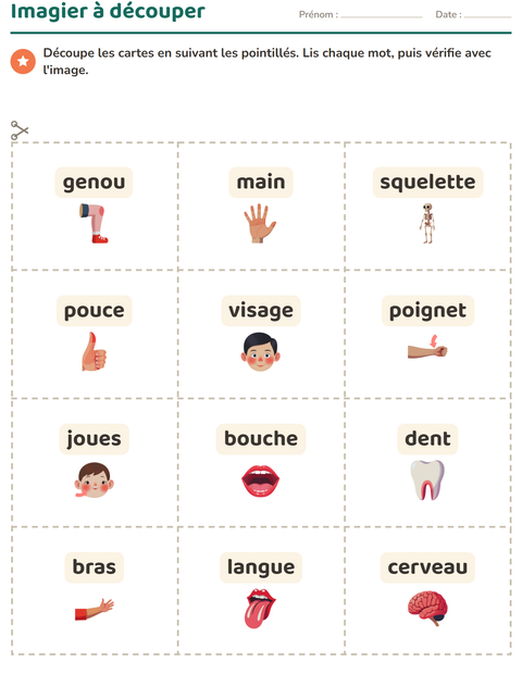 Aperçu de la fiche Imagier avec Parties du corps pour École maternelle (grande section, 5-7 ans)