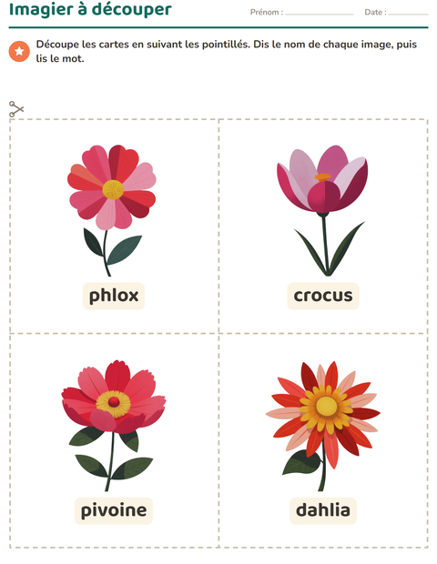 Aperçu de la fiche Imagier avec Fleurs pour École maternelle (grande section, 5-7 ans)