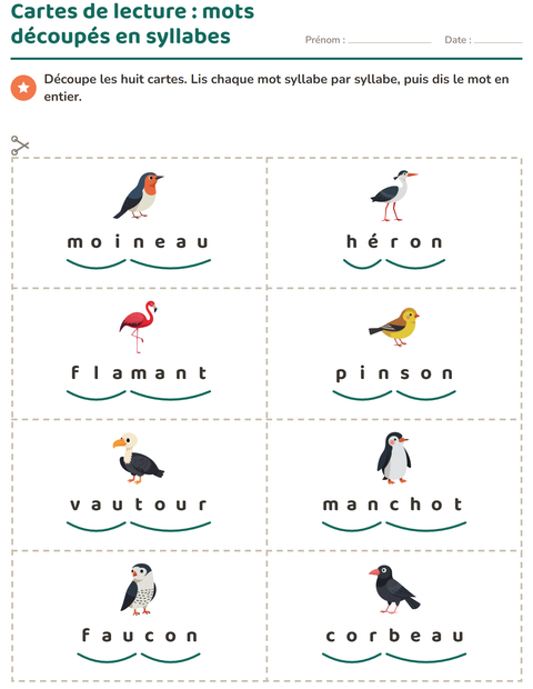 Aperçu de la fiche Imagier avec Oiseaux 2 pour CP (cours préparatoire)