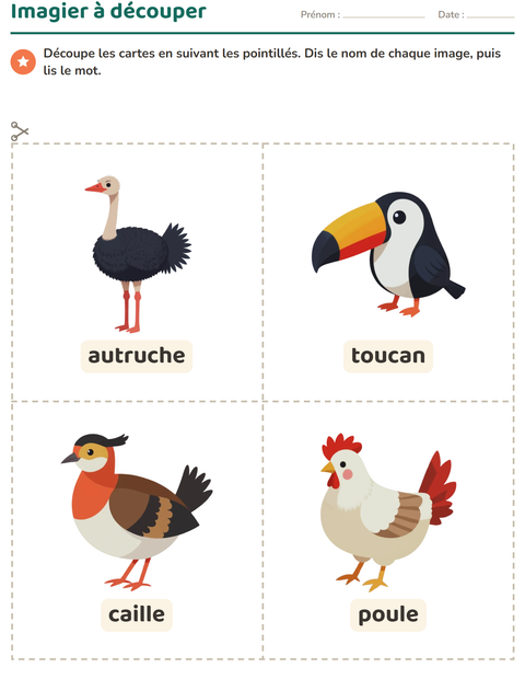 Aperçu de la fiche Imagier avec Oiseaux 2 pour École maternelle (grande section, 5-7 ans)