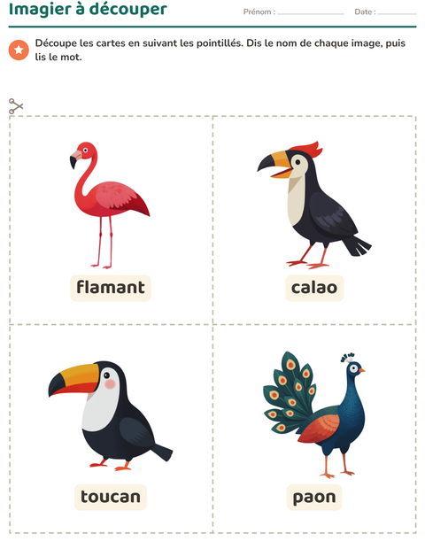 Aperçu de la fiche Imagier avec Oiseaux pour École maternelle (grande section, 5-7 ans)