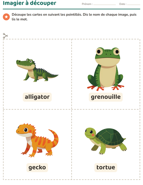 Aperçu de la fiche Imagier avec Reptiles et amphibiens pour École maternelle (grande section, 5-7 ans)