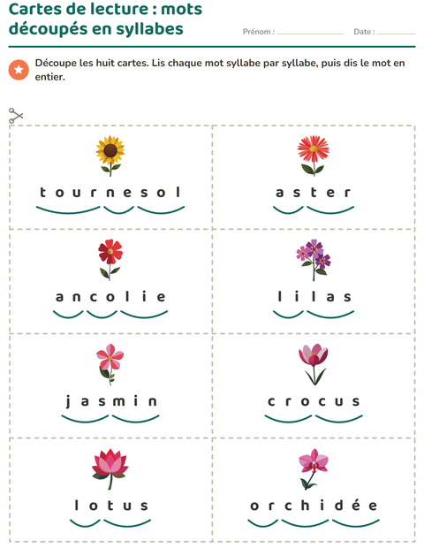 Aperçu de la fiche Imagier avec Fleurs pour CP (cours préparatoire)