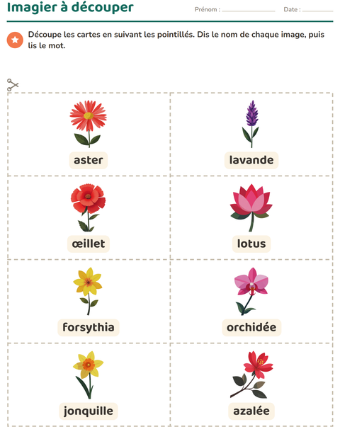 Aperçu de la fiche Imagier avec Fleurs pour École maternelle (grande section, 5-7 ans)