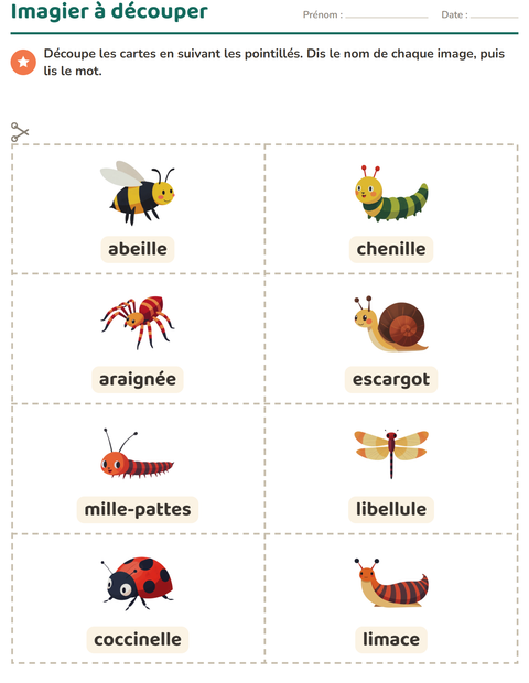 Aperçu de la fiche Imagier avec Insectes et bestioles pour École maternelle (grande section, 5-7 ans)