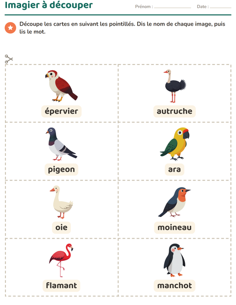 Aperçu de la fiche Imagier avec Oiseaux 2 pour École maternelle (grande section, 5-7 ans)