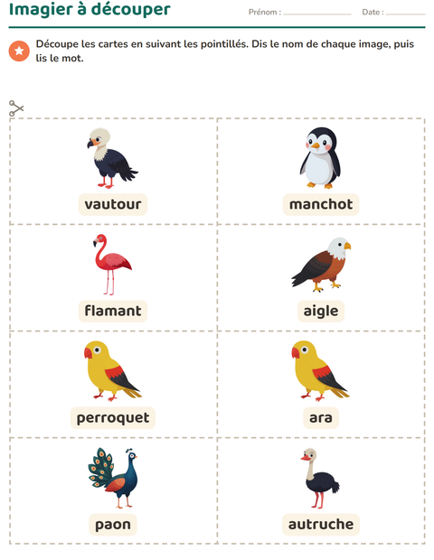 Aperçu de la fiche Imagier avec Oiseaux pour École maternelle (grande section, 5-7 ans)