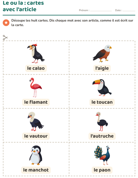 Aperçu de la fiche Imagier avec Oiseaux pour École maternelle (grande section, 5-7 ans)