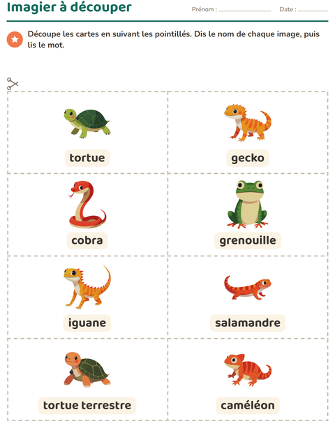Aperçu de la fiche Imagier avec Reptiles et amphibiens pour École maternelle (grande section, 5-7 ans)