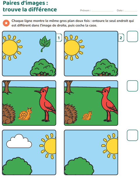 jeu-des-differences-difficile-k400-9