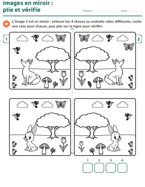 Aperçu : Images en miroir : trouve les différences, plie et vérifie