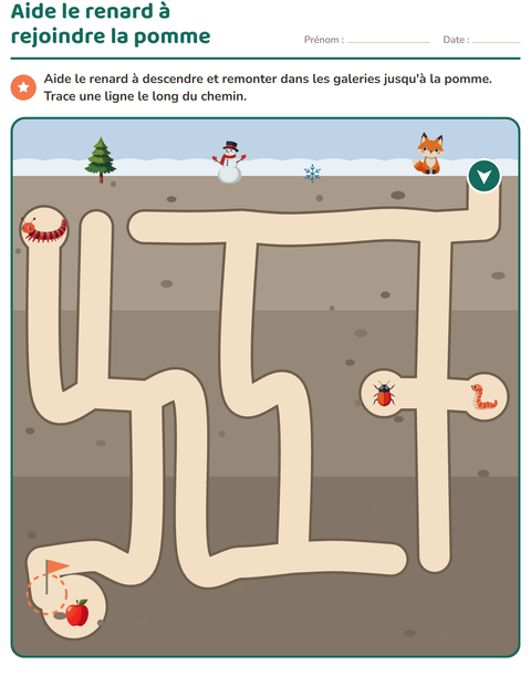 Aperçu de la fiche Jeux de labyrinthe pour CP (cours préparatoire)