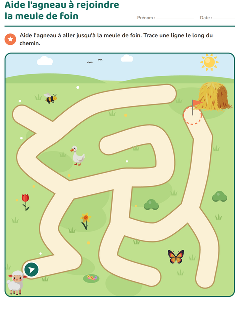 Aperçu de la fiche Jeux de labyrinthe pour École maternelle (grande section, 5-7 ans)