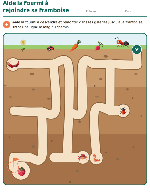Labyrinthe souterrain : aide la fourmi dans ses galeries