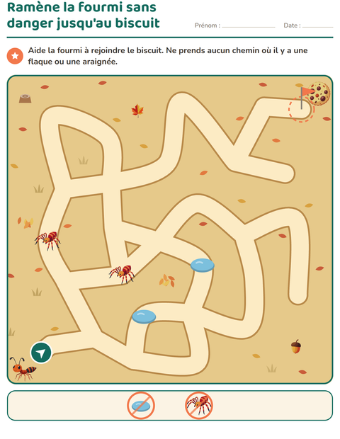 Aperçu de la fiche Jeux de labyrinthe pour CP (cours préparatoire)