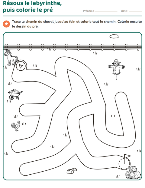 Aperçu de la fiche Jeux de labyrinthe pour École maternelle (grande section, 5-7 ans)