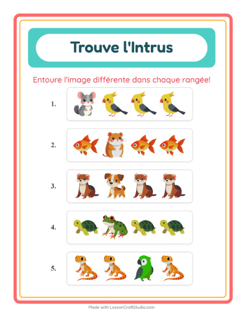Aperçu de la fiche L'intrus avec Animaux de compagnie pour École maternelle (grande section, 5-7 ans)