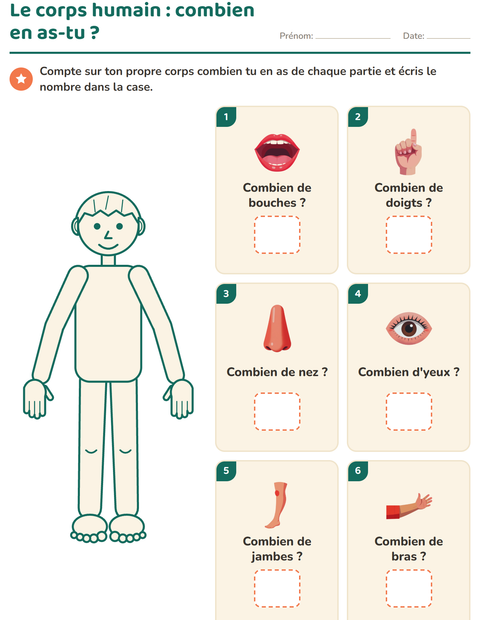 Le corps humain : combien en as-tu ?