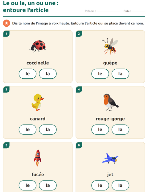 Aperçu de la fiche Le ou la avec Choses qui volent pour École maternelle (grande section, 5-7 ans)