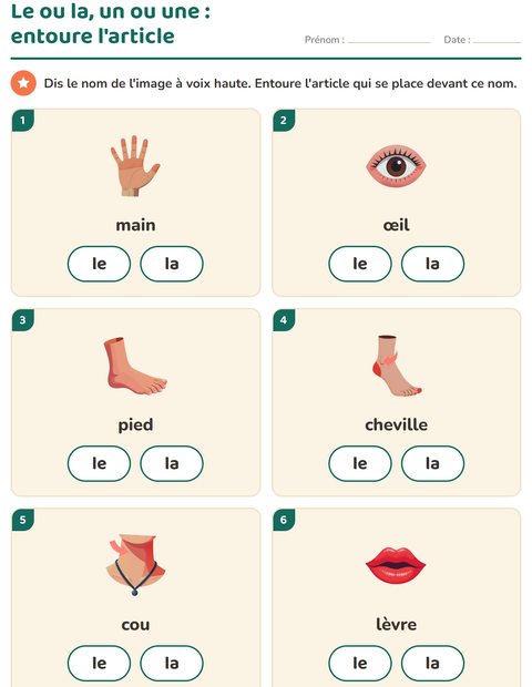 Aperçu de la fiche Le ou la avec Parties du corps pour École maternelle (grande section, 5-7 ans)