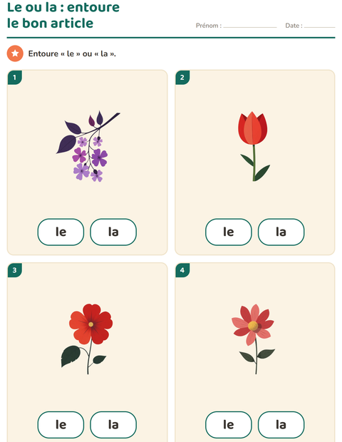 Aperçu de la fiche Le ou la avec Fleurs pour École maternelle (grande section, 5-7 ans)